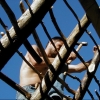 2004 - Rekonstrukcija krova kuhinje, popravak alata, uređenje okoliša